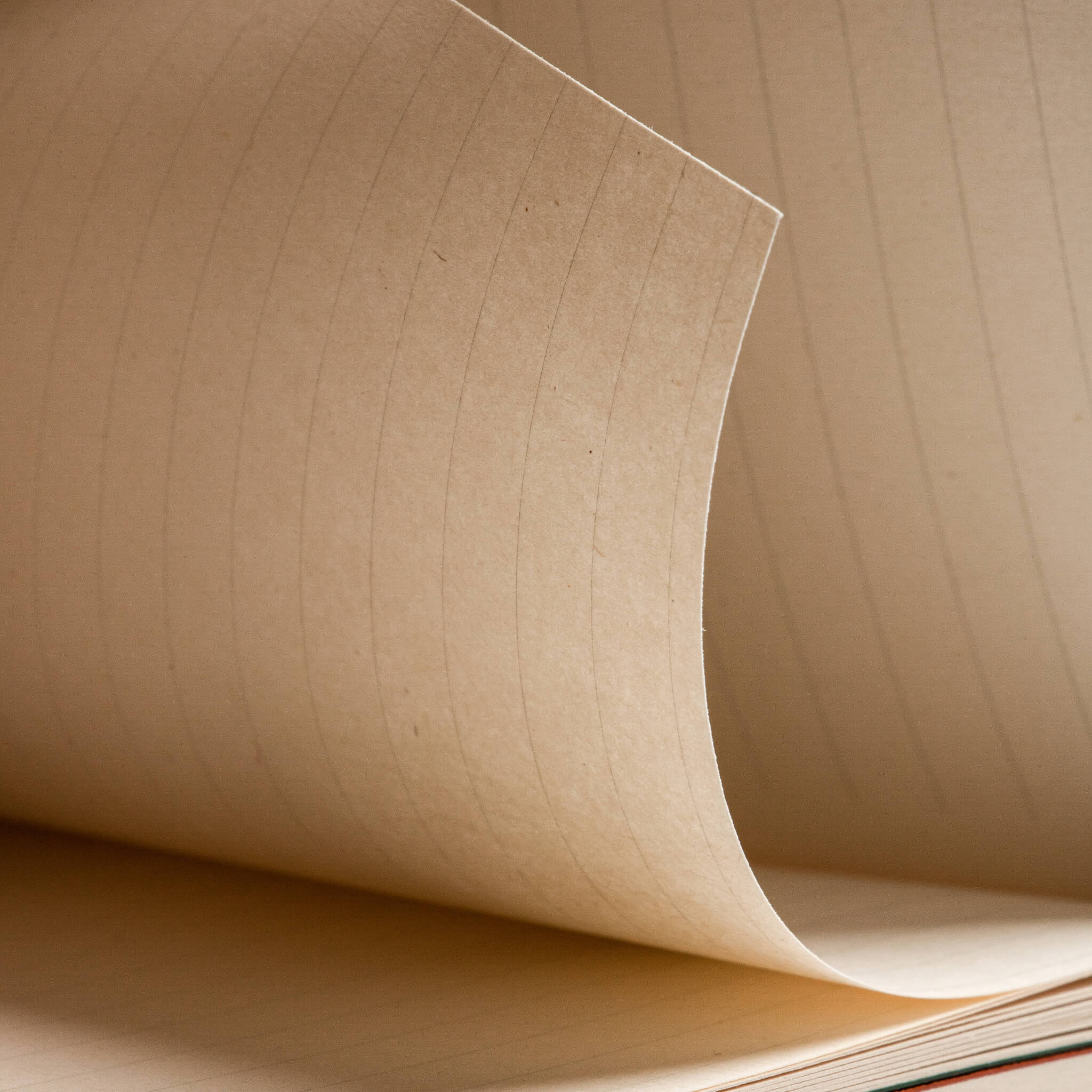 Detailed macro shot of basenotes 0144 notebook’s paper pages, showing soft natural tone and fine texture.