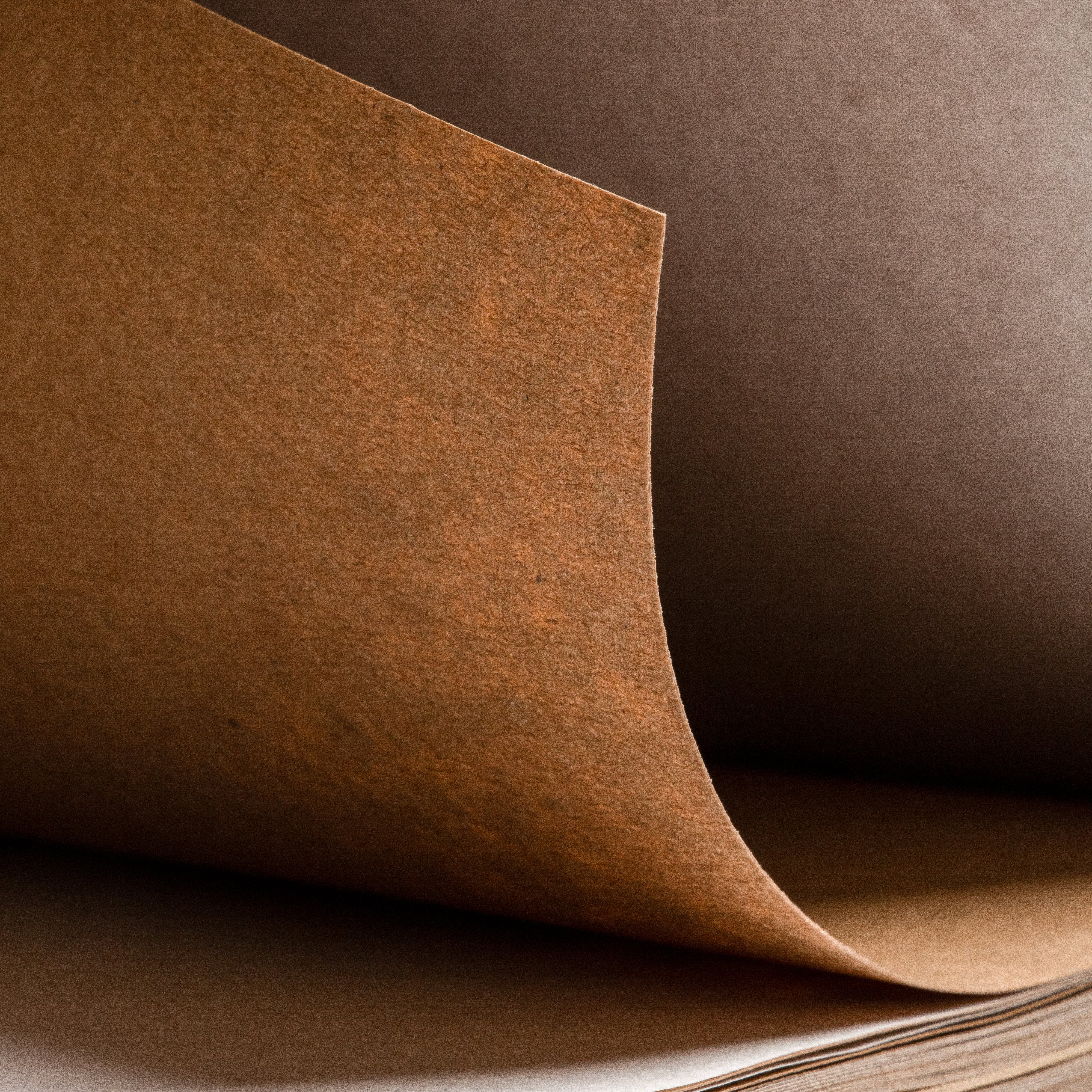 1623k Paperbook - Kraft Edition
