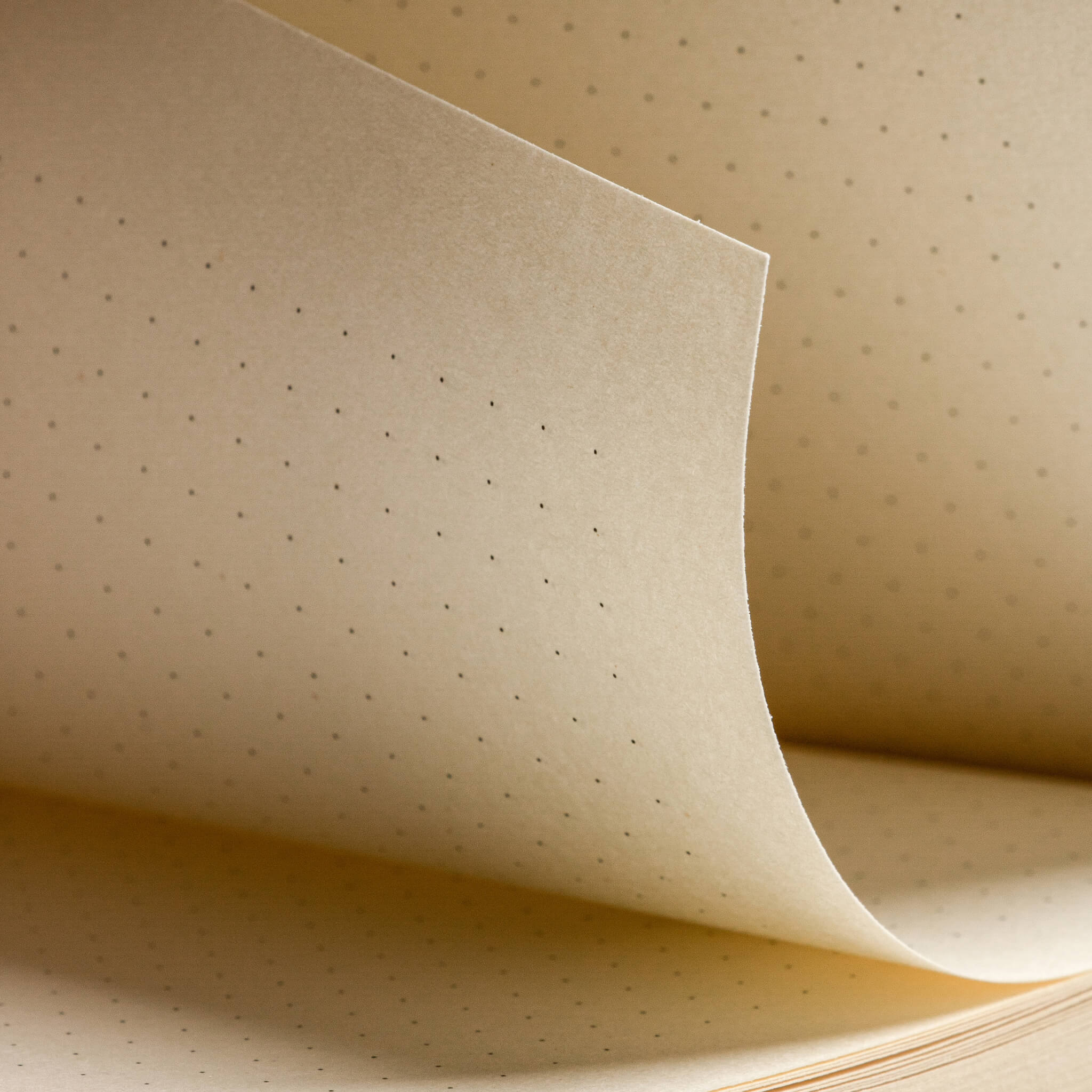 Close-up of dotted paper in the basenotes 0480-A5 Notebook showing soft beige surface and subtle dot pattern.